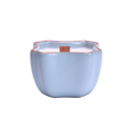 Celadon Rain